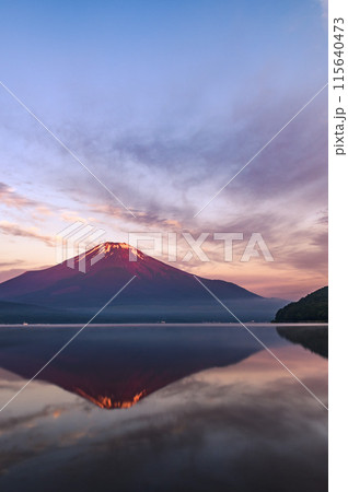 初夏の山中湖より望む早朝の赤富士 初夏の山中湖より望む早朝の赤富士 115640473