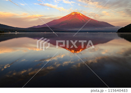 初夏の山中湖より望む早朝の赤富士 115640483