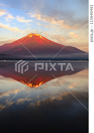 初夏の山中湖より望む早朝の赤富士 初夏の山中湖より望む早朝の赤富士 115640491
