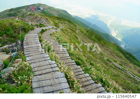 八方尾根に登る登山道から白馬村を見下ろす 115640547