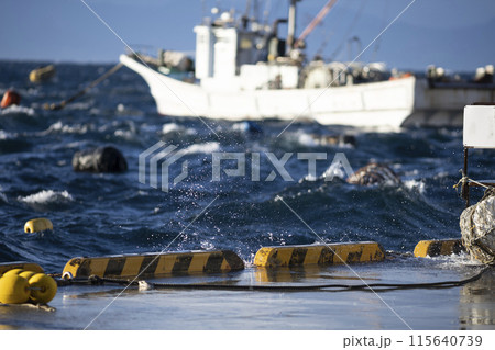 港に停泊中の漁船 115640739