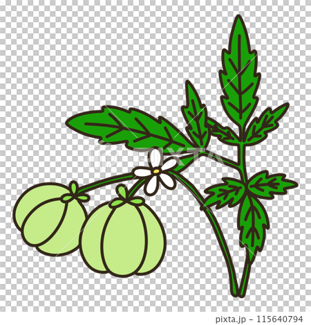 Fusen cruz 115640794