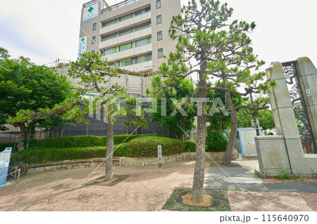 江東区 小名木川 五本松跡  115640970