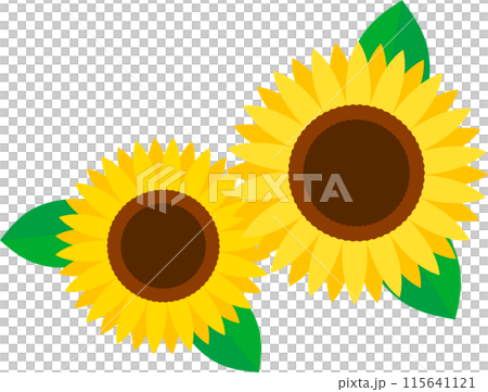 兩個簡單的向日葵插圖 115641121