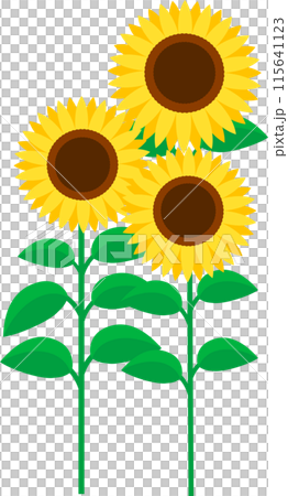 三個簡單的向日葵插圖 115641123