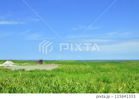 JR東日本信越本線直江津駅から柏崎駅までの車窓風景(2022年夏) JR東日本信越本線直江津駅から柏崎駅までの車窓風景(2022年夏) 115641333