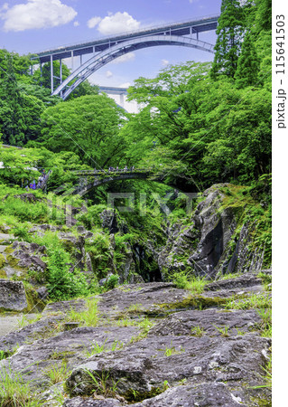 高千穂三橋（縦） 115641503