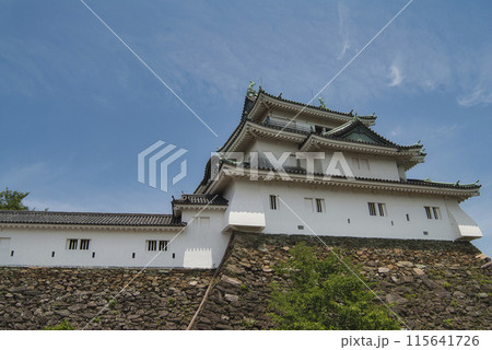 和歌山城の天守閣 和歌山城の天守閣 115641726