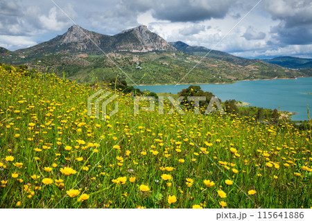 Blue lake and green valley 115641886