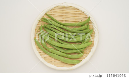 インゲンマメ 115641968