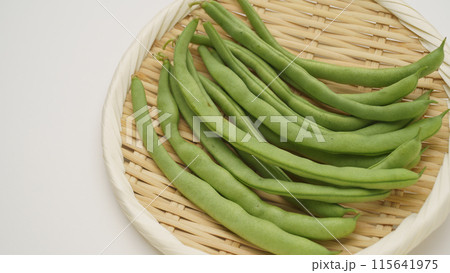 インゲンマメ インゲンマメ 115641975