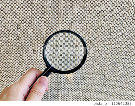 虫眼鏡でよーく確認する 虫眼鏡でよーく確認する 115642388