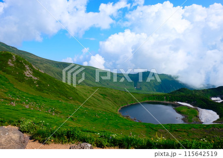 鳥海湖と残雪と高山植物 115642519