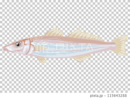 キス キス 115643288