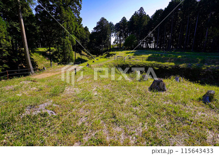 静岡県島田市　諏訪原城　二の曲輪中馬出 115643433