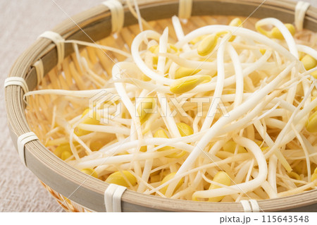 豆もやしのクローズアップ 豆もやしのクローズアップ 115643548