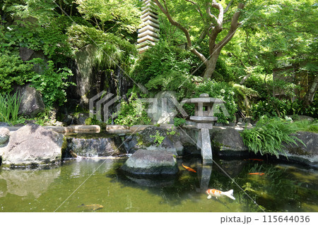 鎌倉,長谷寺の日本庭園 鎌倉,長谷寺の日本庭園 115644036