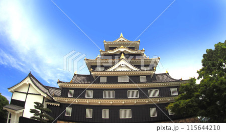岡山城 岡山城 115644210