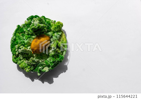 lemon with mold and moss lemon with mold and moss 115644221