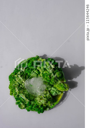 the concept of mold and plastic on a white background 115644246