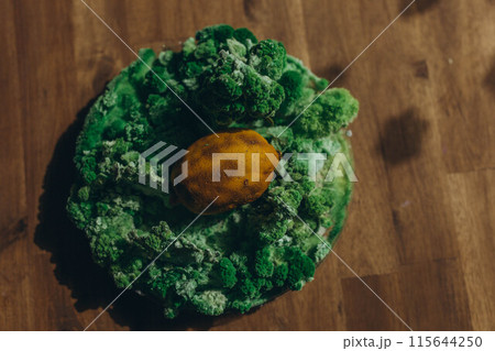 lemon with mold and moss lemon with mold and moss 115644250
