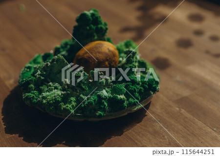 lemon with mold and moss lemon with mold and moss 115644251