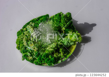 the concept of mold and plastic on a white background 115644252