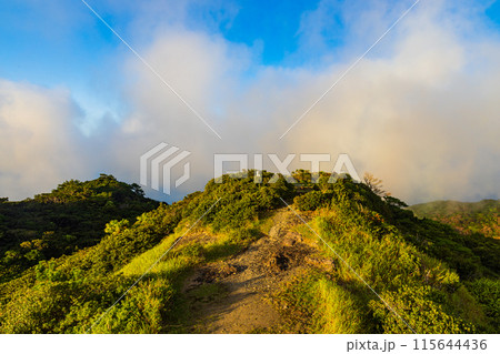 小笠原諸島・父島 中央山展望台から望む絶景 小笠原諸島・父島 中央山展望台から望む絶景 115644436