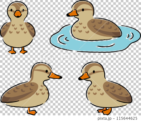 簡單可愛的鴨子插畫集（女） 115644625
