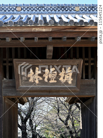 中山道鴻巣宿散歩:浄土宗 勝願寺 総門 中山道鴻巣宿散歩:浄土宗 勝願寺 総門 115645224