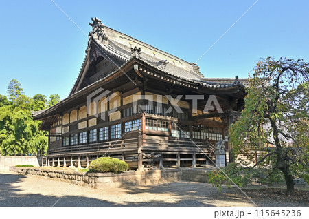 中山道鴻巣宿散歩:浄土宗 勝願寺 本堂 中山道鴻巣宿散歩:浄土宗 勝願寺 本堂 115645236
