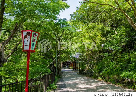 養老の滝への遊歩道沿いの風景《岐阜県・養老町・養老公園》 115646128