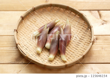 みょうが　ミョウガ　茗荷 115646154