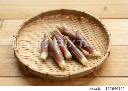 みょうが　ミョウガ　茗荷 115646161