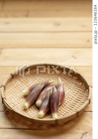 みょうが ミョウガ 茗荷 みょうが ミョウガ 茗荷 115646164