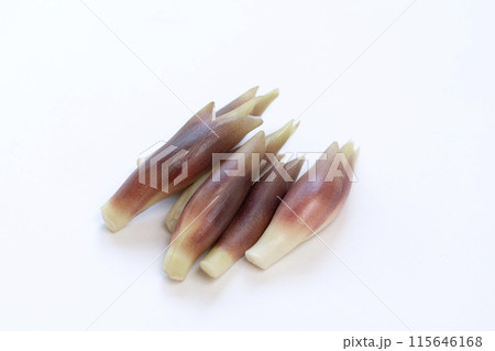 みょうが　ミョウガ　茗荷 115646168