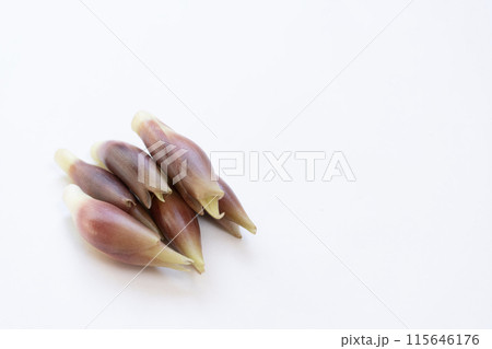 みょうが　ミョウガ　茗荷 115646176