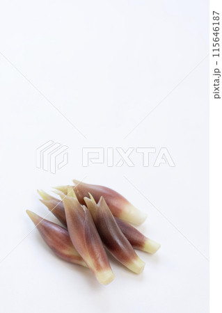 みょうが　ミョウガ　茗荷 115646187