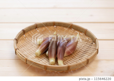 みょうが　ミョウガ　茗荷 115646220