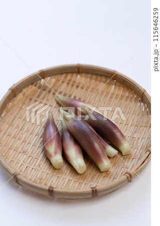 みょうが ミョウガ 茗荷 みょうが ミョウガ 茗荷 115646259