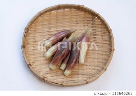 みょうが ミョウガ 茗荷 みょうが ミョウガ 茗荷 115646265