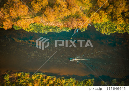 Aerial view of forest woods and river marsh bog in autumn landscape. Bird's eye view of marsh bog. Top view of beautiful european nature from high attitude in autumn season. Drone view. Flat view 115646443