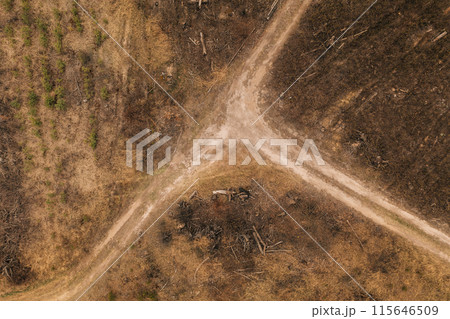 Concept Of Save Nature. Uncontrolled Deforestation Concept. Autumn Season. Aerial View Of Crossroads At Deforestation Area. Forest Deforestation Area Landscape. Forest Clearance 115646509