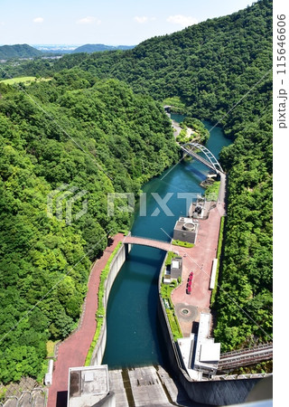 神奈川県立あいかわ公園　宮ヶ瀬ダム直下の中津川と森林 115646606