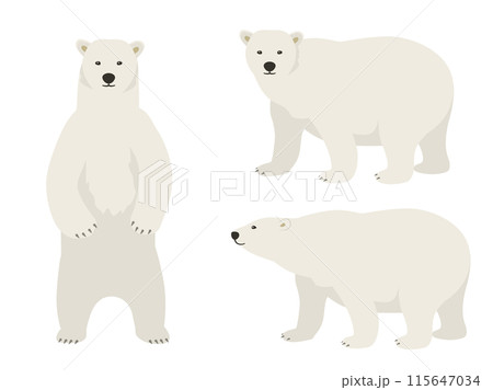 シロクマのベクターイラストセット 115647034