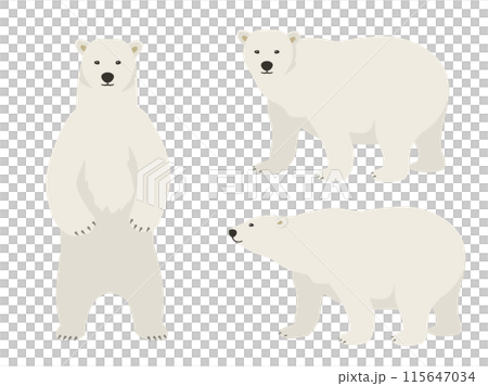 シロクマのベクターイラストセット 115647034