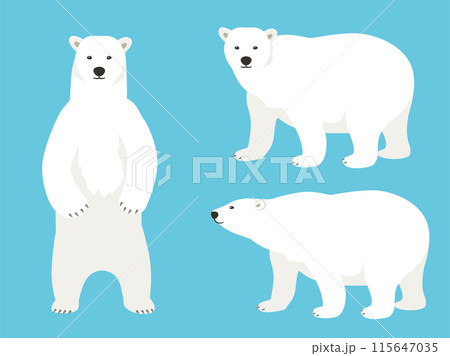 シロクマのベクターイラストセット 115647035