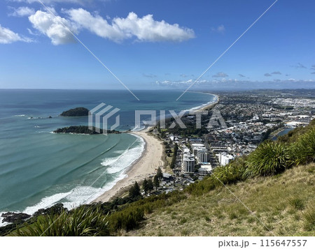 ニュージーランド北島・マウントマウンガヌイ 115647557