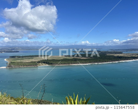 ニュージーランド北島・マウントマウンガヌイ ニュージーランド北島・マウントマウンガヌイ 115647558