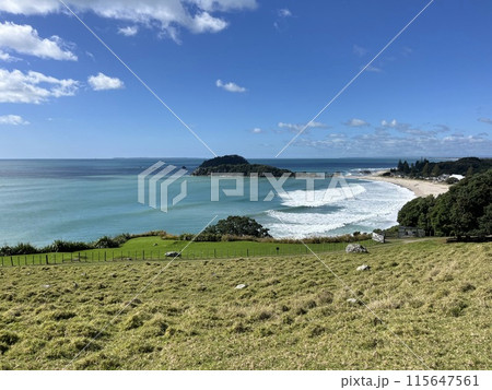 ニュージーランド北島・マウントマウンガヌイ ニュージーランド北島・マウントマウンガヌイ 115647561